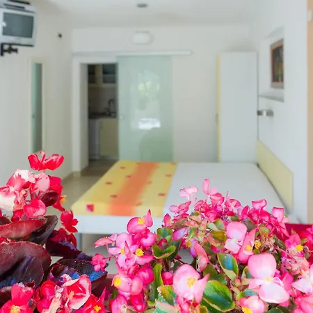 Nada Apartman Bol